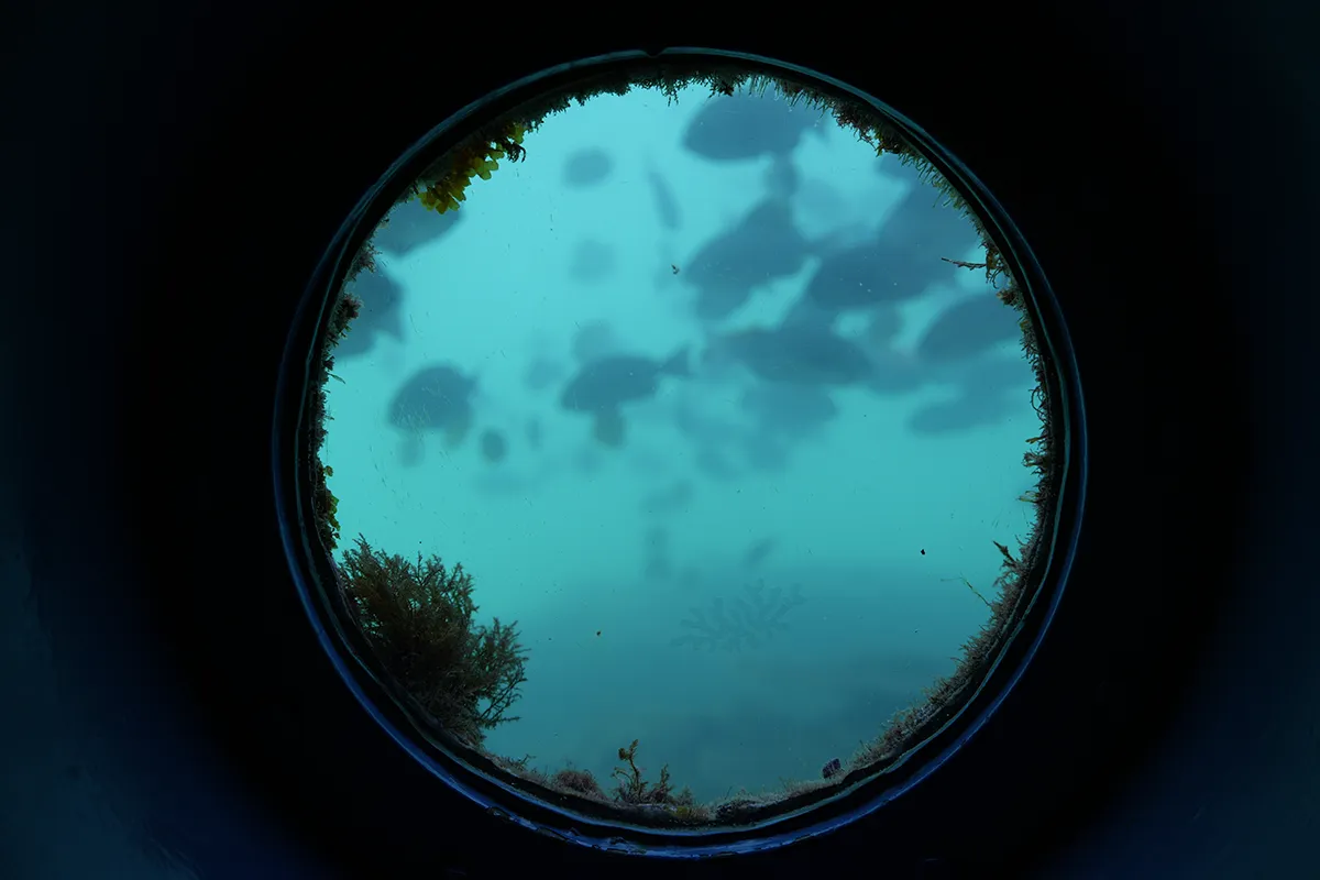 aquarium