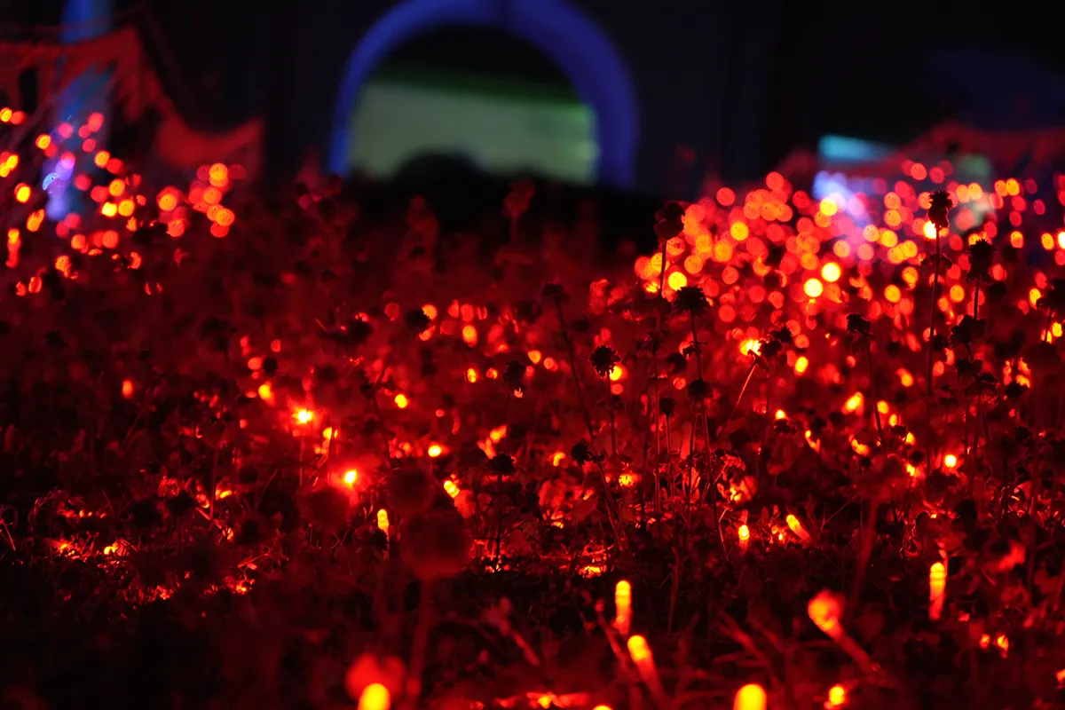illumination